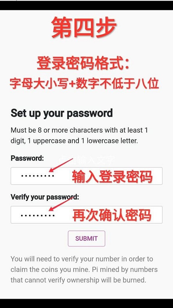 pi network教程全攻略-第6张图片-淘金一家人博客