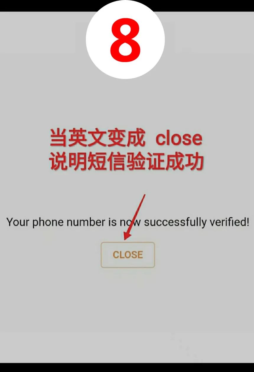 pi network教程全攻略-第19张图片-淘金一家人博客