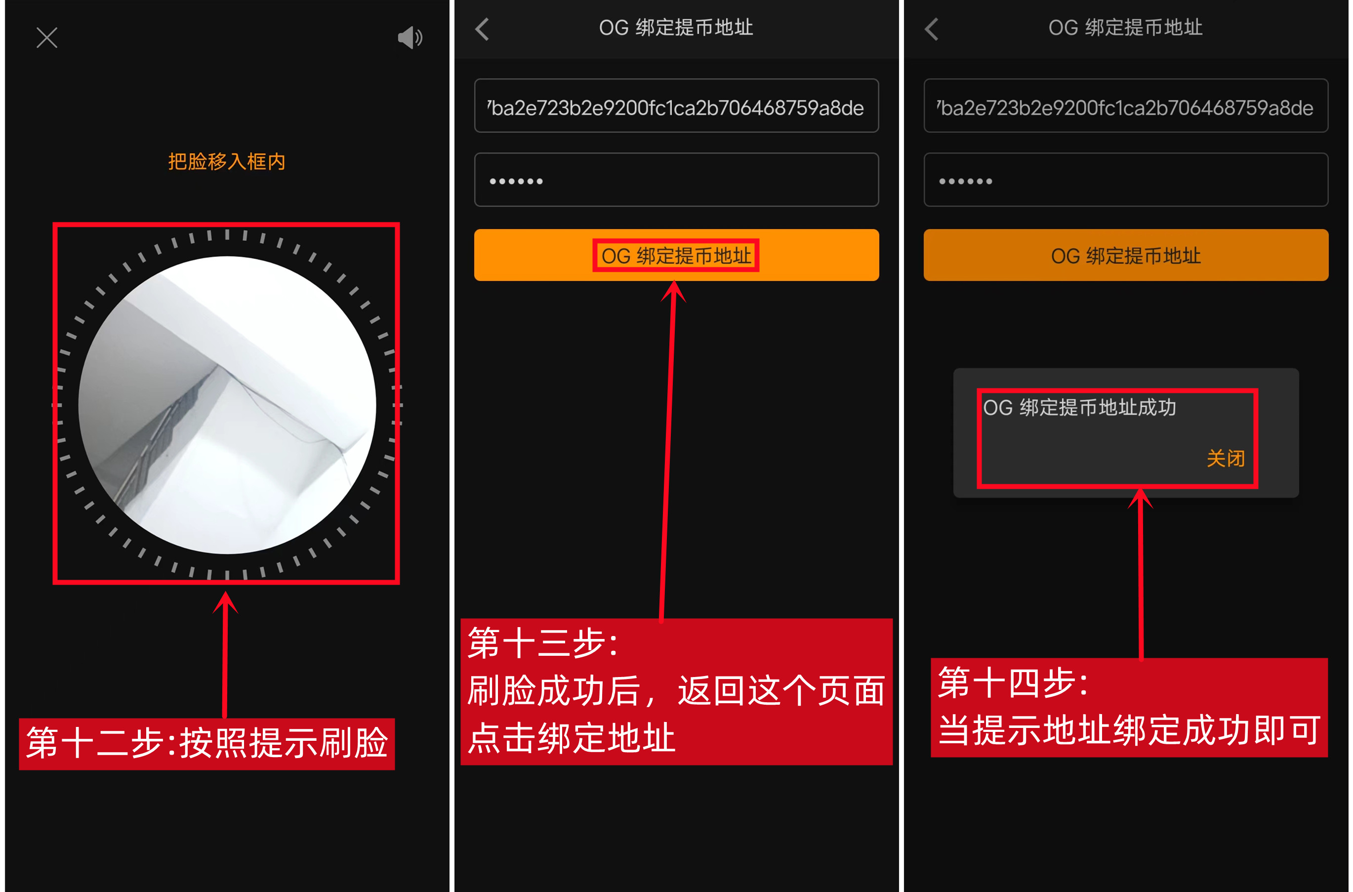 OG绑定钱包教程(已结束)-第9张图片-淘金一家人博客