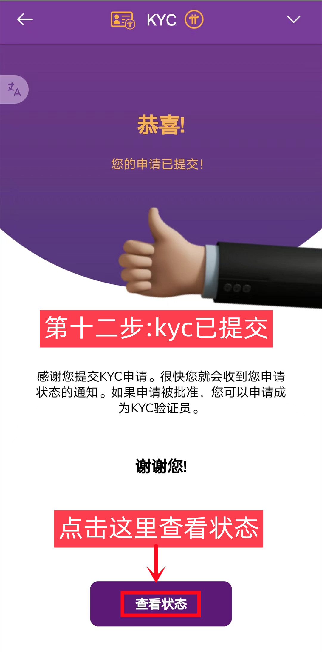派kyc认证流程最新版(更新于2024.6.25)-第14张图片-淘金一家人博客