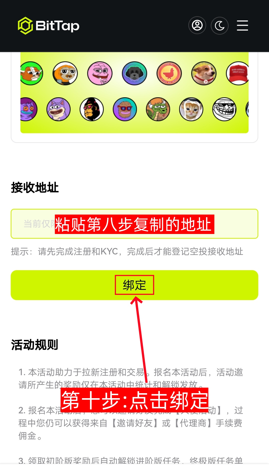 BitTap注册认证 随机空投pepe 价值1-500u 0撸-第10张图片-淘金一家人博客