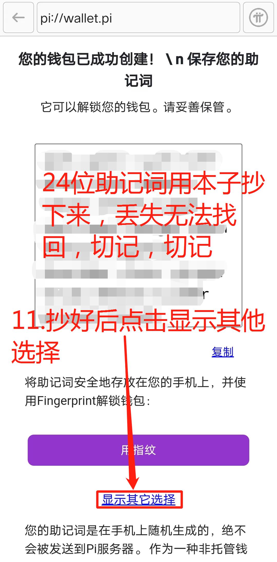 pi派创建钱包流程(图文版 非常详细)-第11张图片-淘金一家人博客 pi派创建钱包流程(图文版 非常详细)-第11张图片-淘金一家人博客