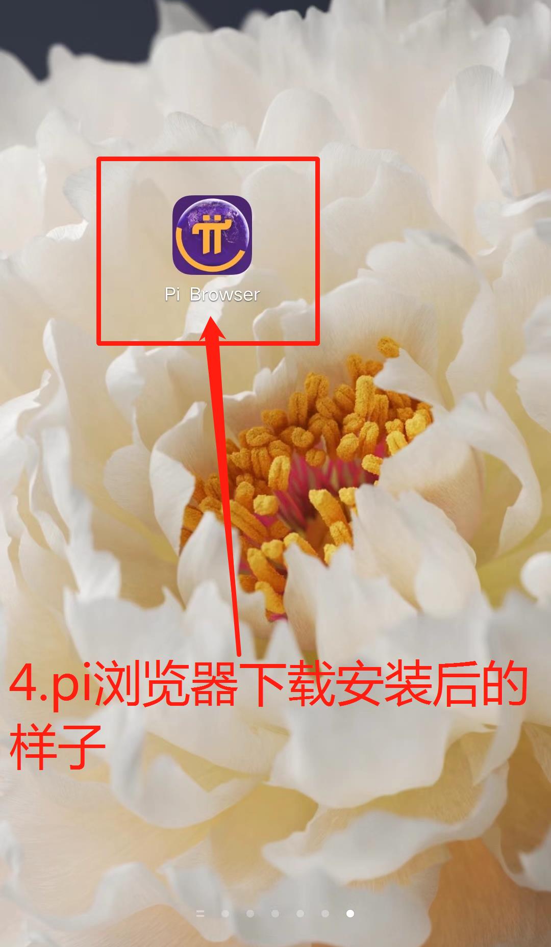 pi派创建钱包流程(图文版 非常详细)-第4张图片-淘金一家人博客 pi派创建钱包流程(图文版 非常详细)-第4张图片-淘金一家人博客